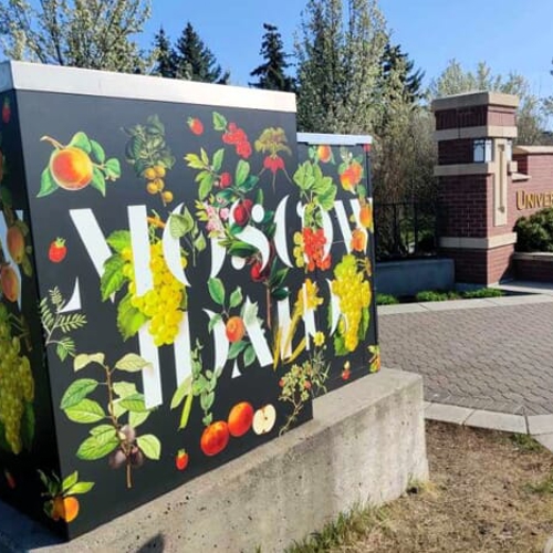 Exterior Graphics